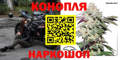 стафф Пыть-Ях